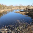 진남목장 이미지