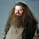 라엘헤어 이미지