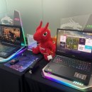 EZ PC | MSI 익스피리언스 데이(엠익데) 리얼 방문 후기