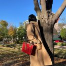 에츠하임 이미지