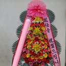 설악웨딩타운(주) 이미지