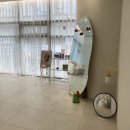 살롱A창원점 | “은아하다” 창원 브라질리언 왁싱 후기