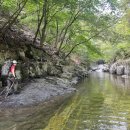 팡팡랜드 이미지