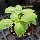 어질농장 이미지