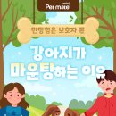 분당-282 이미지