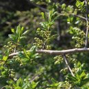 상산농장 이미지