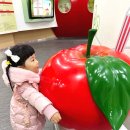 거창사과테마파크 전시실 이미지