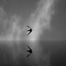 염소자리 이미지