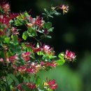 강대희한의원 이미지