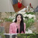 진심 티브이데일리