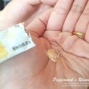 주식회사 참약사 이미지