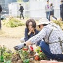 녹색정원 이미지