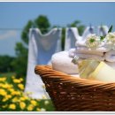 천연세탁 이미지