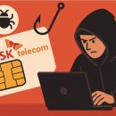 SK 텔레콤 해킹 관련 (유심보호서비스가입) 이미지