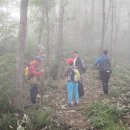 신선약수터 이미지