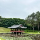 안태농장 | 백제여행 백제문화단지_백제의 역사와 생활모습을 엿볼 수 있는 곳 100만평 역사테마파크