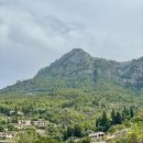 MIRO | 스페인 마요르카 데이아 벨몬드 라 레지덴시아 레스토랑 카페 미로 Cafe Miro 예약 가격 주차 후기