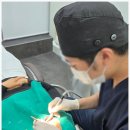 하이윌치과의원 이미지