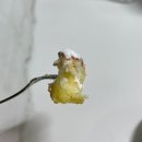 서흥목장 | 당진 빵집, 아카렌가 베이커리 빵 진짜 맛있어요