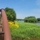 장자호수공원 장미터널 이미지