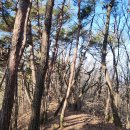 송림길삼거리 이미지