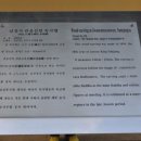 상주 남장사 관음선원 목각아미타여래설법상 이미지