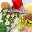 사랑의뜰안 | 초보 뜨개질 키트 꽃 화분 DIY 만들기 뜰안뜨개공방 이솝식물키우기