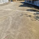 황정리 과수원 이미지