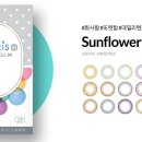 아이리스 안경원 이미지