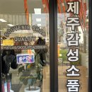 [소품샵 in 애월]: 제주도 애월카페거리 '한담몰'+'귤귤스토어' 소품샵 후기