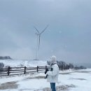 동막목장 이미지