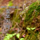수칠보