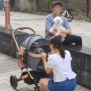 인생개컷 이미지