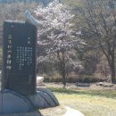 입암서원 앞 이미지