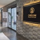 금비 | [동탄] 오름헤어 :: 금비팀장님 밀본 클리닉 추천 (탈색모 후기)