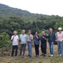 하모니카반 이미지