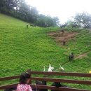 희은농장 이미지