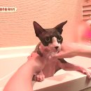 김진우농장 이미지