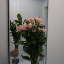 일상에 피어난 설렘 한 다발, 코오즈 생화 꽃정기구독 찐 후기