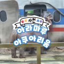 사천대로 | [사천] 아라마루 아쿠아리움 _ 사천 초양도 하마가 있는 아쿠아리움 공휴일 후기