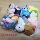 팜앤조이 이미지