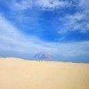 세이브마트(마트프라임) | 아이랑 호주여행) 포트 스테판, 옵션 덜어내니 훨씬 좋았어요