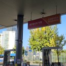 착한정비센터(세차장) | 영등포 세차장 고민이라면? 소문난 영등포 세차 맛집...루페스빅풋디테일링센터 영등포점> 따끈한 후기