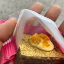 [제주/동문시장] 찰리와 초콜릿 공장을 연상시키는 제주동문시장맛집 &#34;찰리공장&#34;🧁