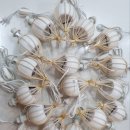 가곡고등학교 이미지