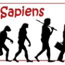 사피엔스 이미지