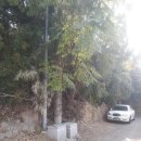 월영초등학교 이미지