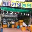 윤석농원 네이버블로그