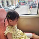 29170-3-A-06 | 🇸🇬 유아 동반 싱가포르 여행 1일차 오후 (내셔널 갤러리, 야쿤 카야토스트 후기)