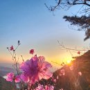 송하상사 | 제사 간소화 해보니 문제 없었을까? 현실 후기와 결론